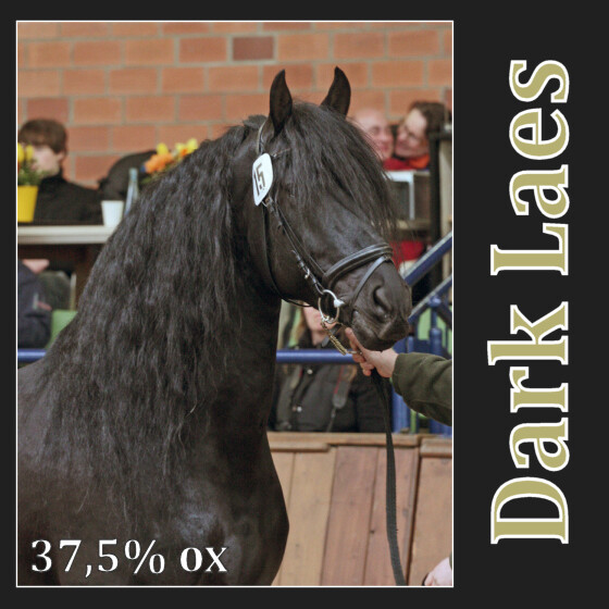 Dark Laes